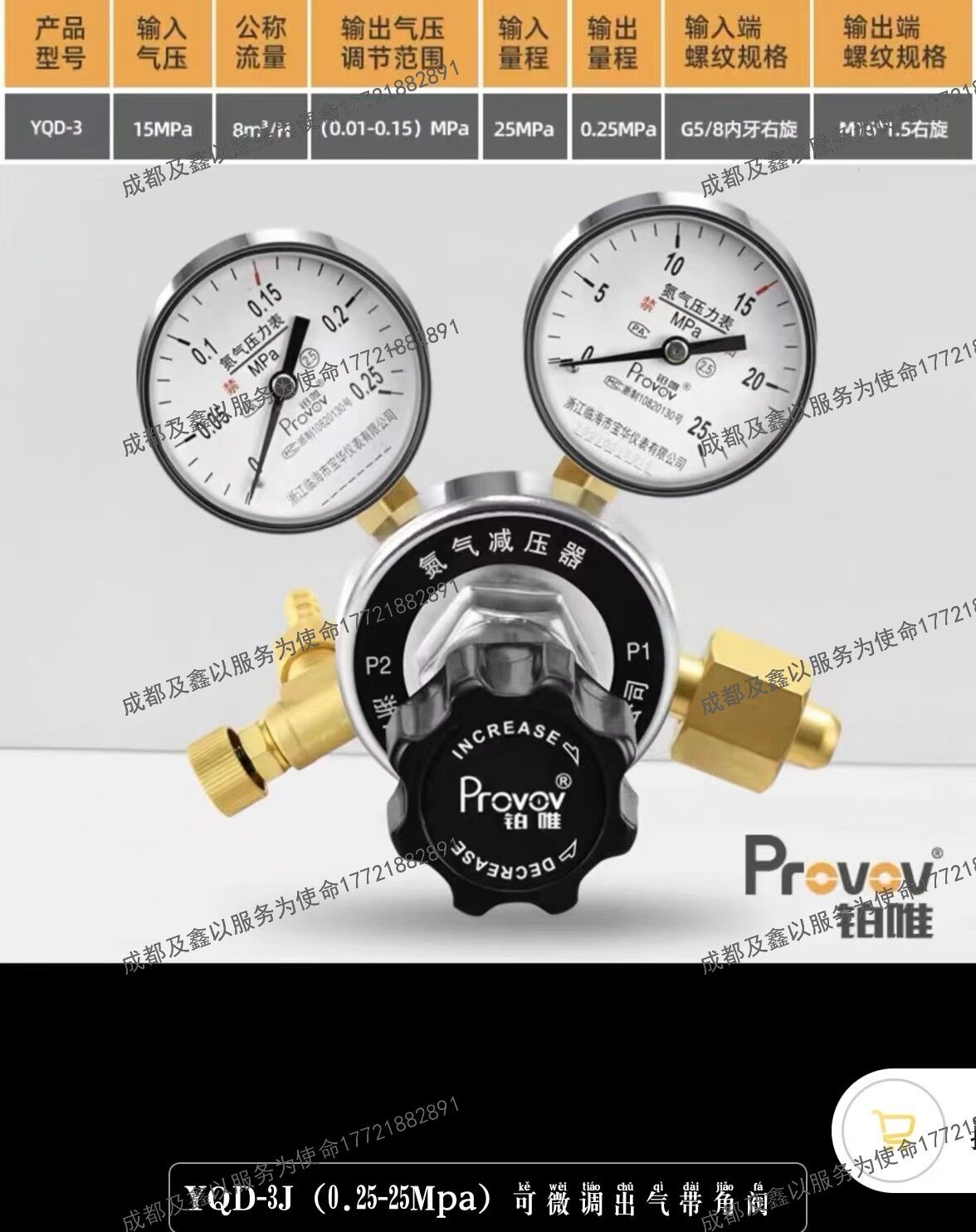 铂唯高精度全铜氮气减压器钢瓶双表减压阀调压稳压可微调出气带角阀
