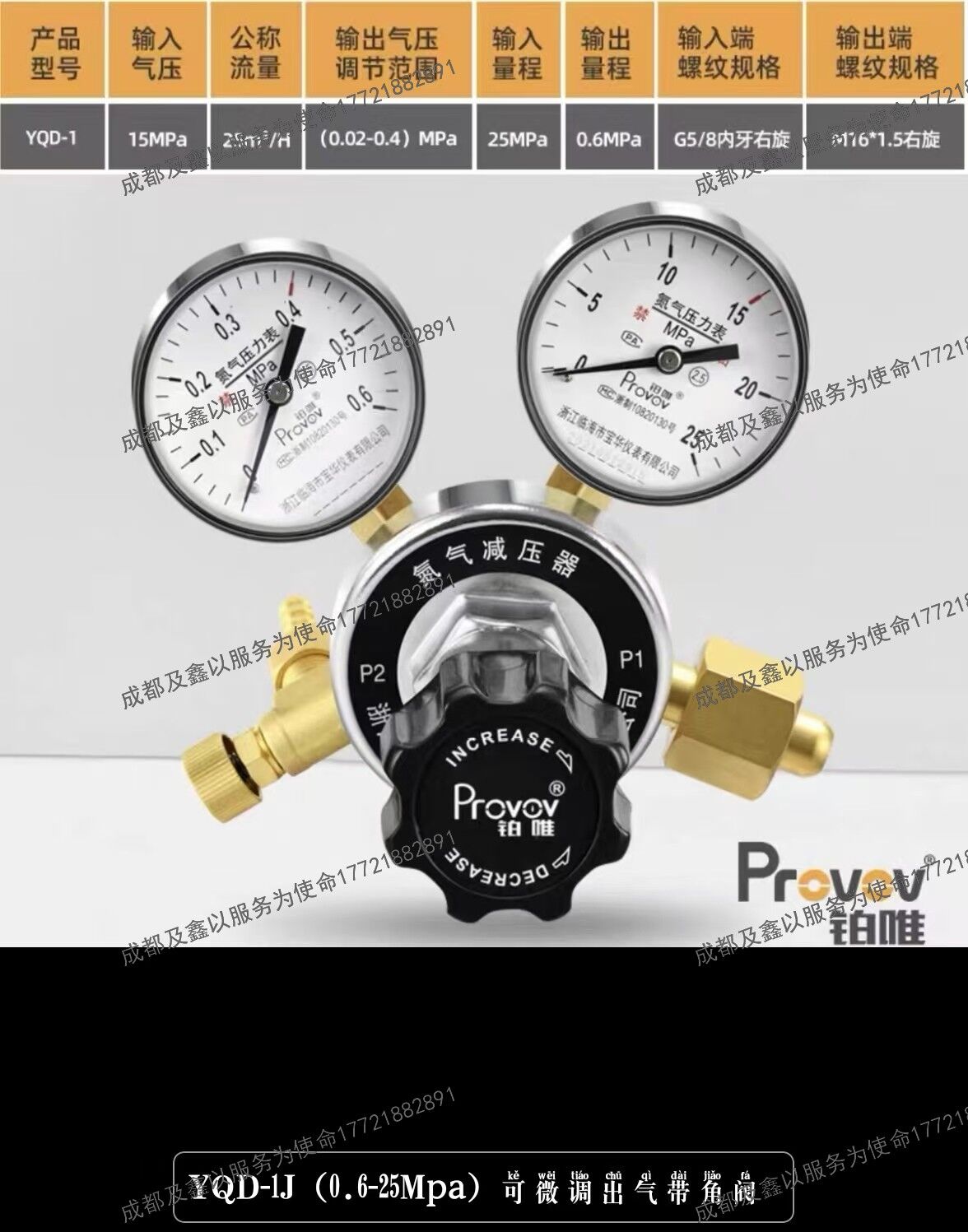 铂唯高精度全铜氮气减压器钢瓶双表减压阀调压稳压可微调出气带角阀