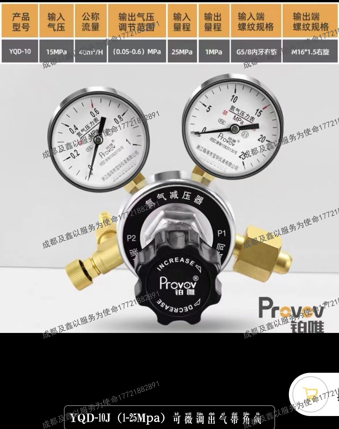 铂唯高精度全铜氮气减压器钢瓶双表减压阀调压稳压可微调出气带角阀