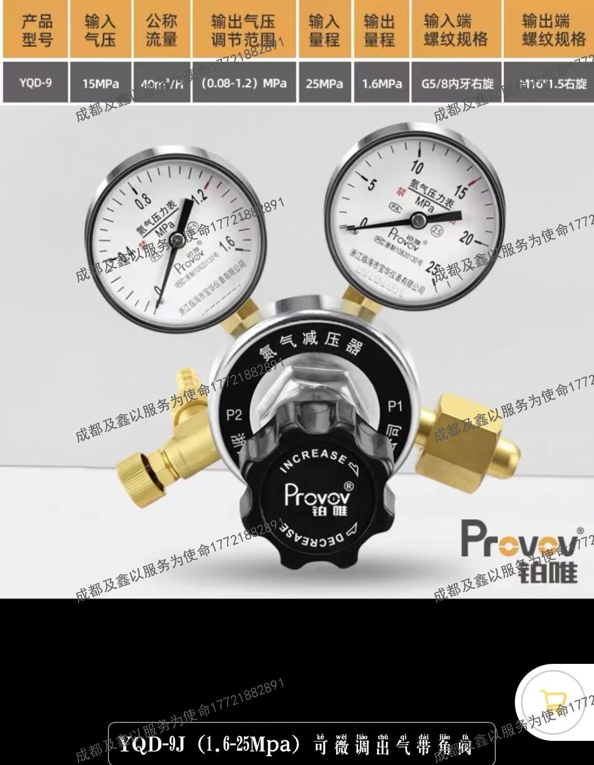 铂唯高精度全铜氮气减压器钢瓶双表减压阀调压稳压可微调出气带角阀