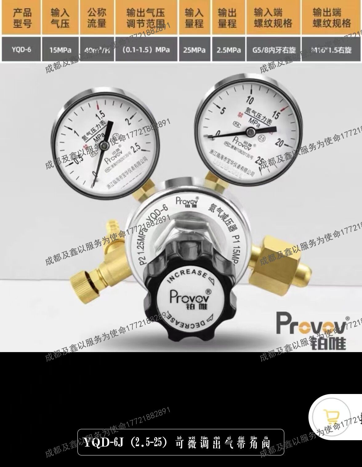 铂唯高精度全铜氮气减压器钢瓶双表减压阀调压稳压可微调出气带角阀