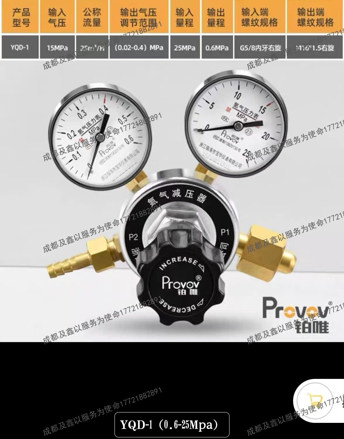 铂唯高精度全铜氮气减压器钢瓶双表减压阀调压稳压