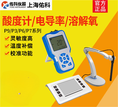 笔试酸度计