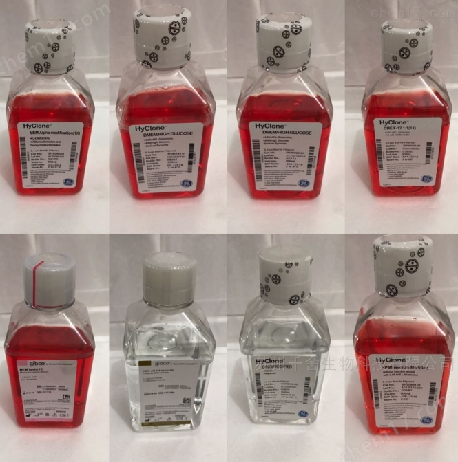 DMEM Nutrient Mixture F-12 (Ham)， 1:1，含15mM HEPES 缓冲液和L-谷氨酰胺和酚红  3.15g/升糖