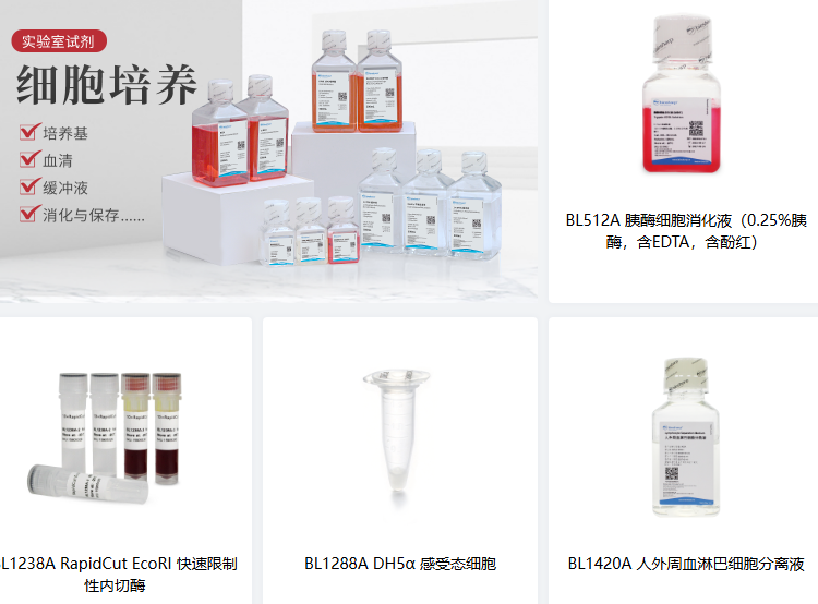 BL069A Anti-α-Tubulin Rabbit Polyclonal Antibody 内参抗体