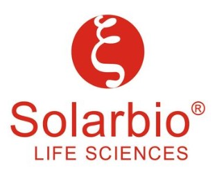 Anti-Flag Tag Antibody Magnetic Beads
