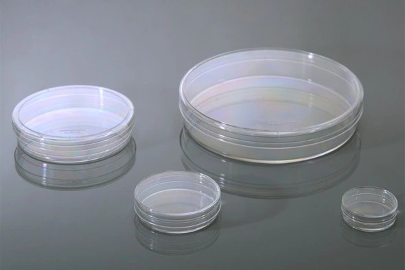 细胞培养皿，100*20 mm，TC，灭菌