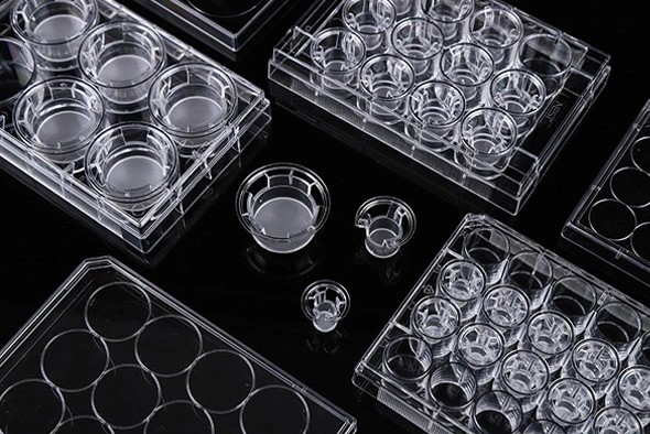 细胞小室，12孔板+12小室，0.4um孔径，不透明，带盖，TC，灭菌