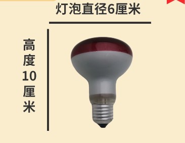 实验红外线灯红外灯