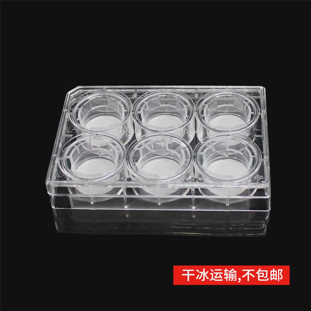 14138 细胞侵袭小室,含6孔板(基质胶包被,PC膜,24mm,孔径5.0μm)