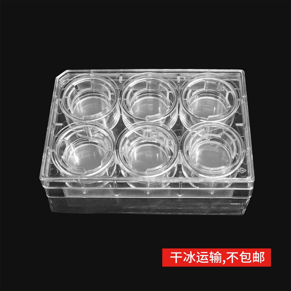 14147 细胞侵袭小室,含6孔板(基质胶包被,PET膜24mm,孔径8.0μm)