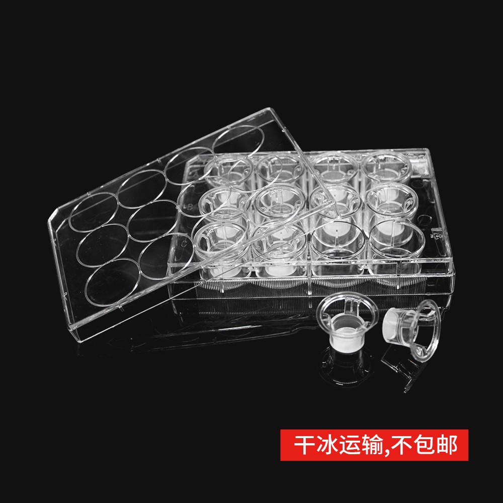 14248 细胞侵袭小室,含12孔板(基质胶包被,PC膜,12mm,孔径8.0μm)