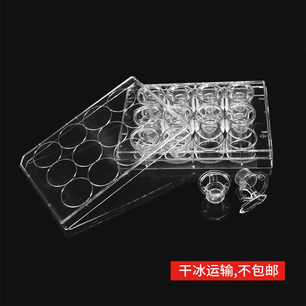 14267 细胞侵袭小室,含12孔板(基质胶包被,PET膜,12mm,孔径12.0μm)