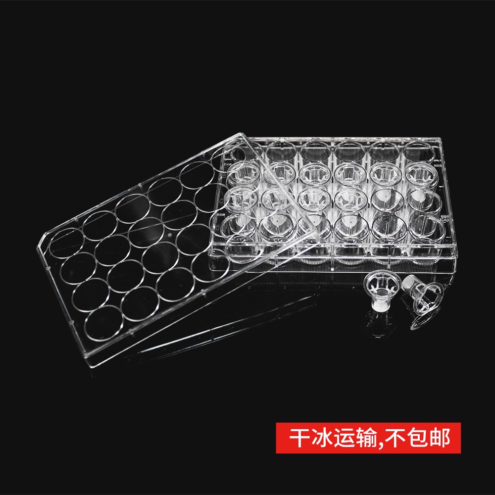 14337 细胞侵袭小室,含24孔板(基质胶包被,PET膜,6.5mm,孔径5.0μm)