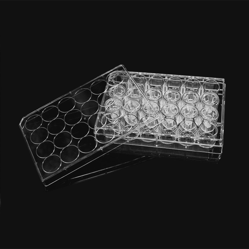14368 细胞侵袭小室,含24孔板(基质胶包被,PC膜,6.5mm,孔径12.0μm)