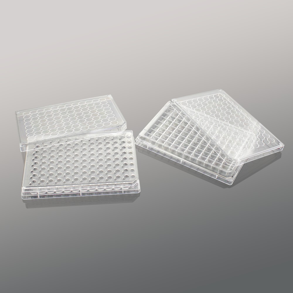 14511 96孔板细胞培养小室(PC膜,4.26mm,孔径0.4μm)