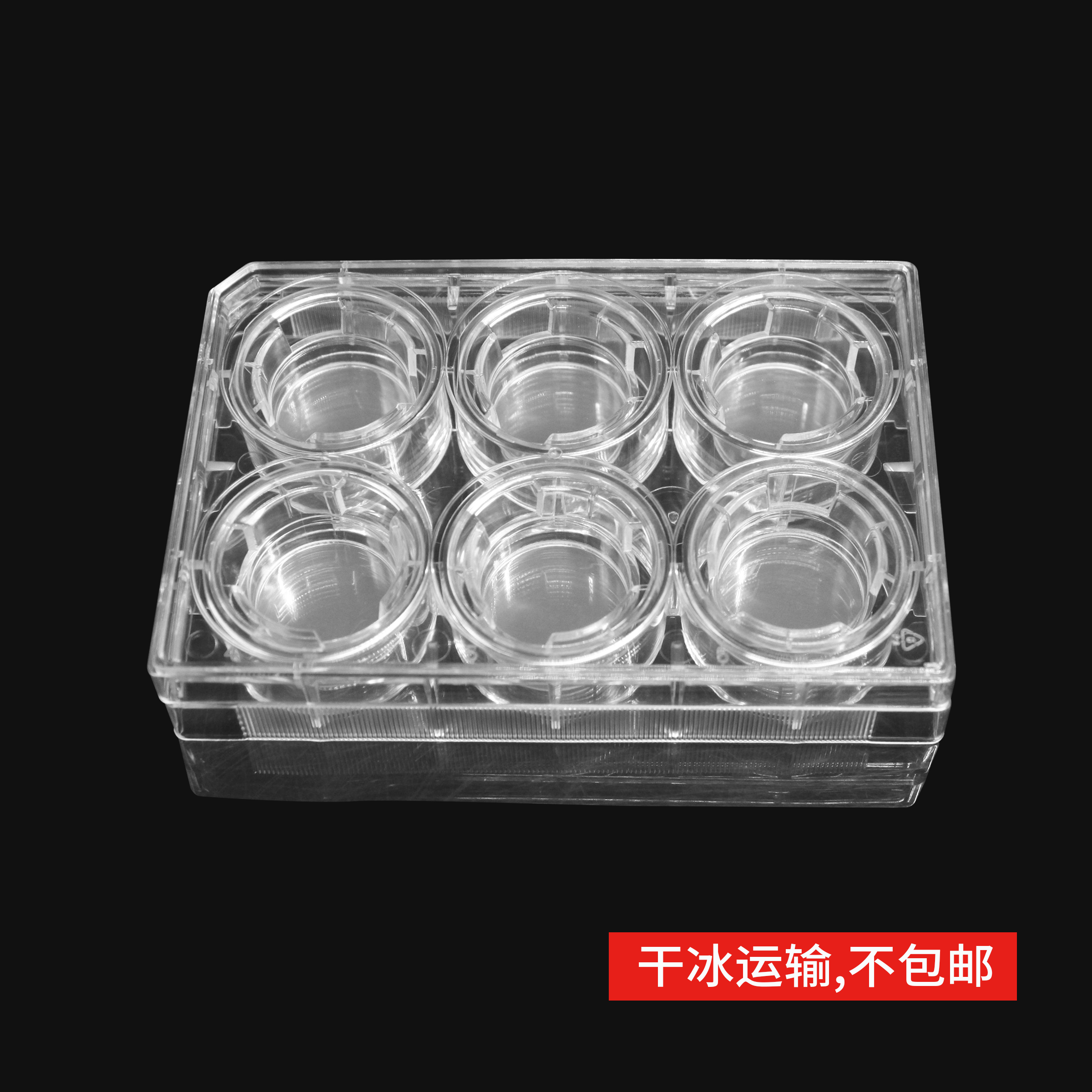 14137 细胞侵袭小室,含6孔板(基质胶包被,PET膜,24mm,孔径5.0μm)
