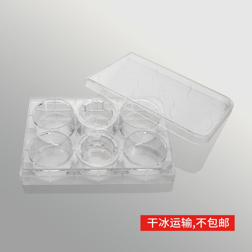 14147S 细胞侵袭小室,含6孔板(基质胶包被,PET膜,24mm,孔径8.0μm)