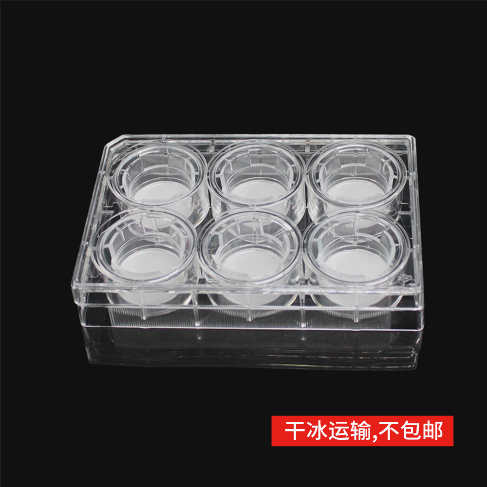 14148 细胞侵袭小室,含6孔板(基质胶包被,PC膜,24mm,孔径8.0μm)