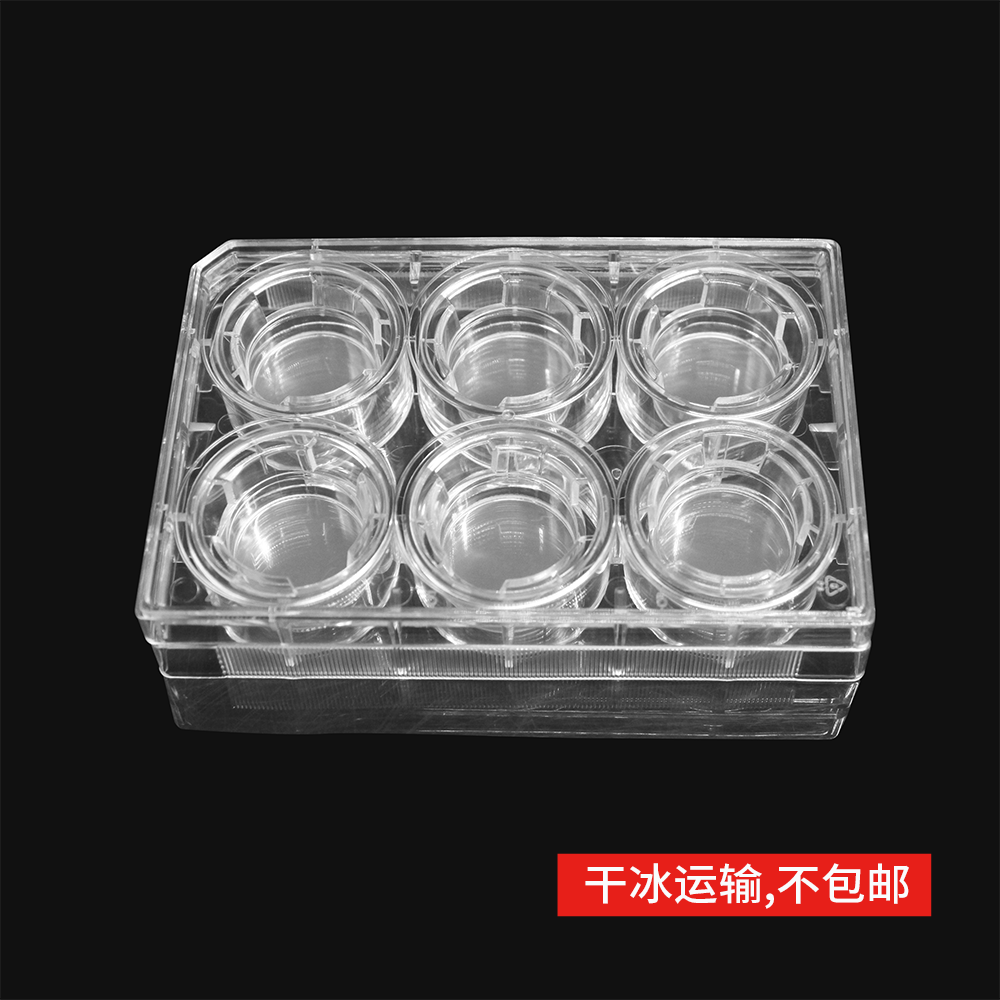 14167 细胞侵袭小室,含6孔板(基质胶包被,PET膜,24mm,孔径12.0μm)