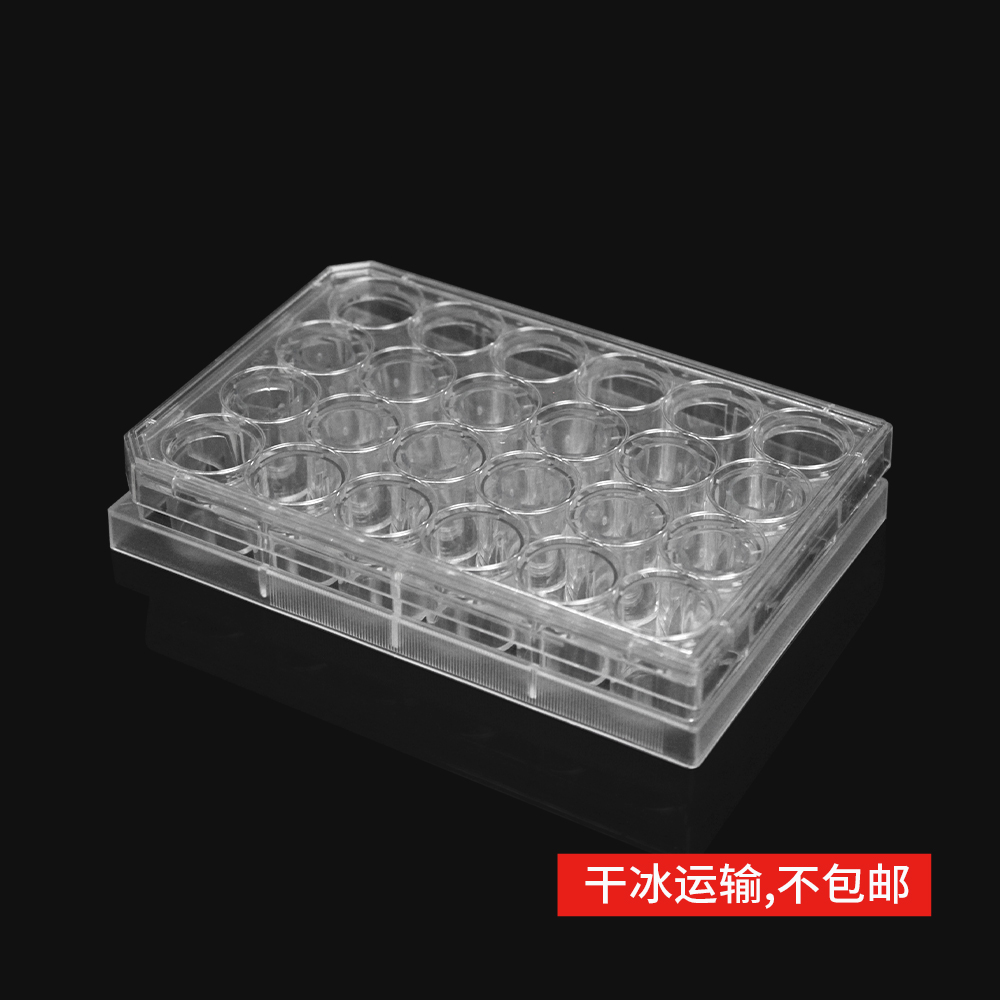 14347 细胞侵袭小室,含24孔板(基质胶包被,PET膜,6.5mm,孔径8.0μm)
