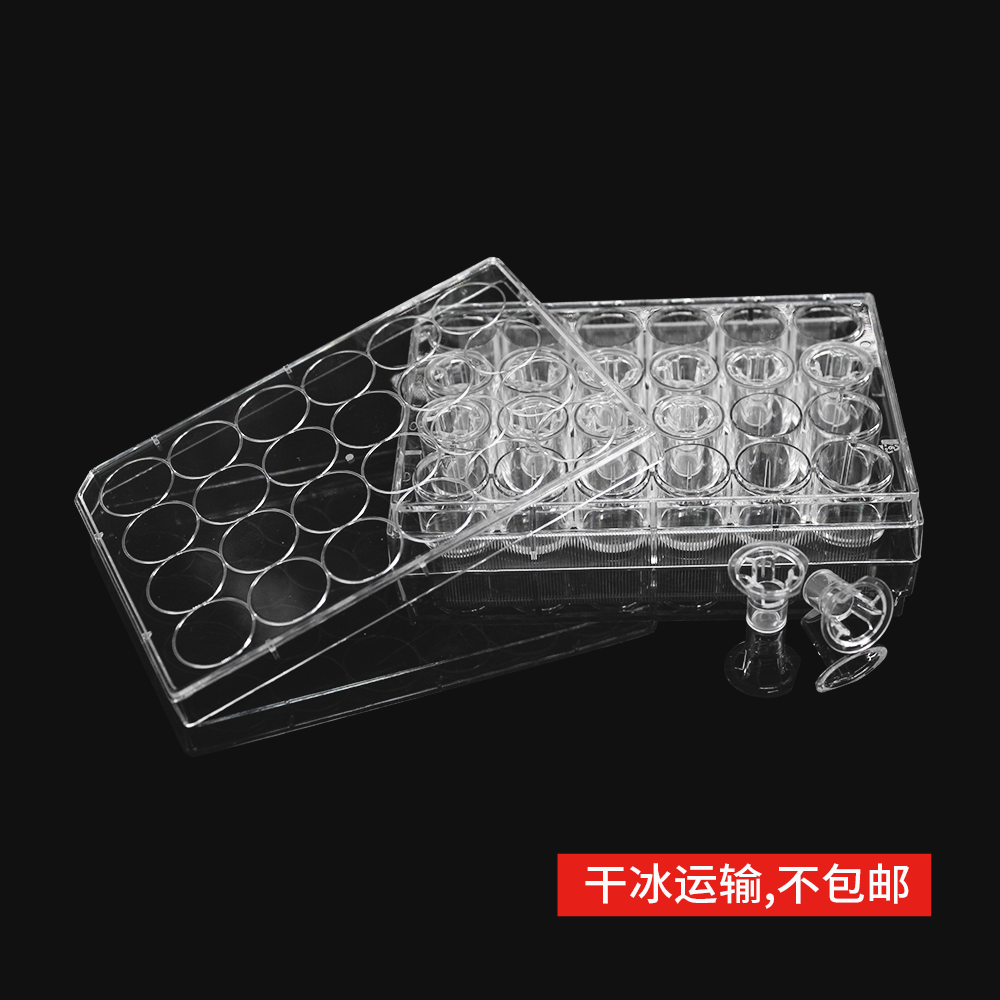 14367 细胞侵袭小室,含24孔板(基质胶包被,PET膜,6.5mm,孔径12.0μm)