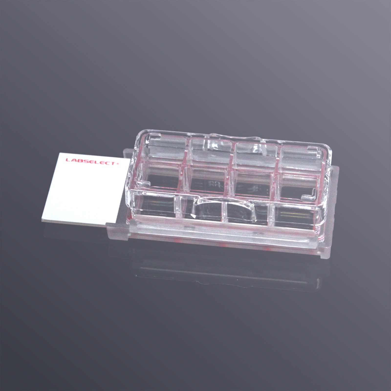 CS-08-TC 细胞培养腔室载玻片(8孔,TC处理)