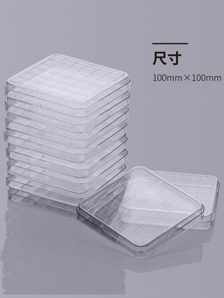 10、10一次性塑料培养方皿30g