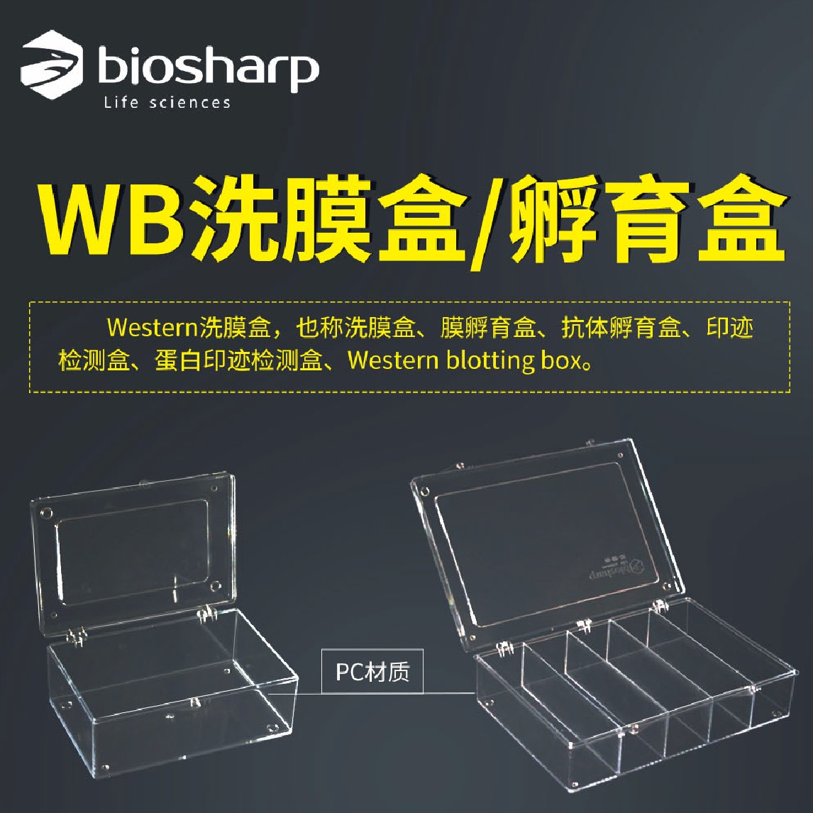 WB洗膜盒、孵育盒PC