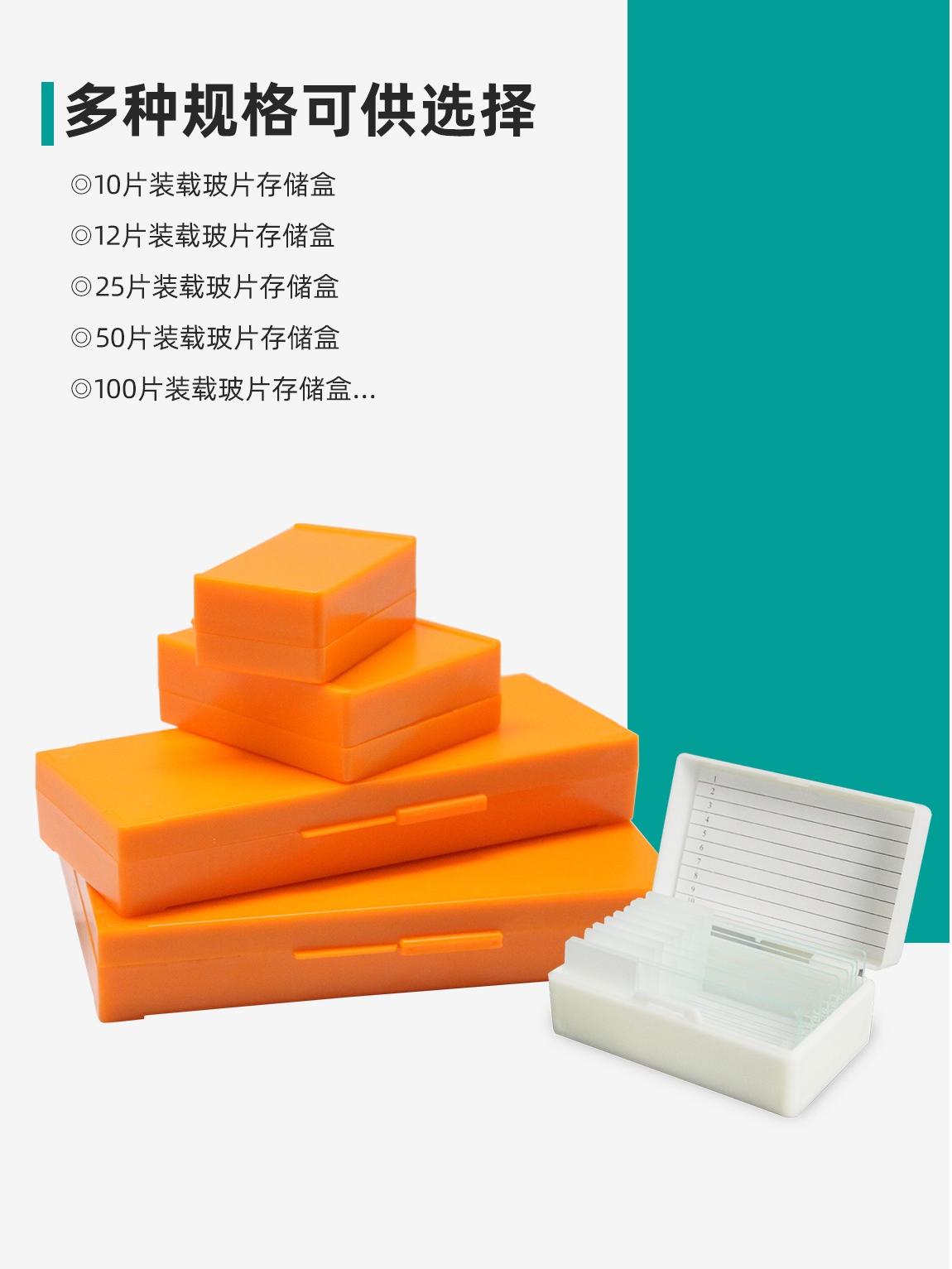 装载玻片存储盒