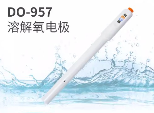 DO-957型溶解氧电极实验室溶解氧含氧量检测仪