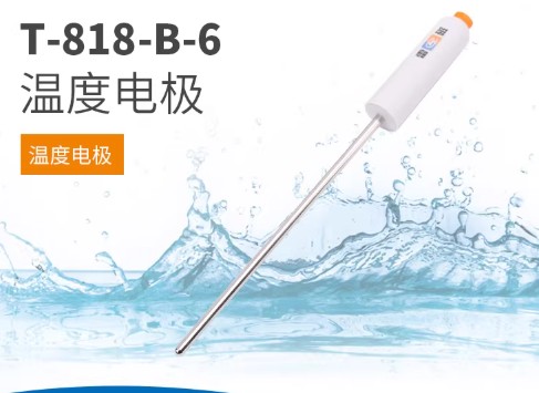 T-818-B-6型温度电极温度传感器