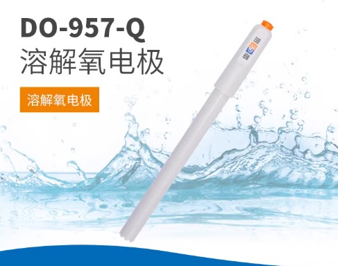 雷磁全新升级DO-957-Q型溶解氧电极